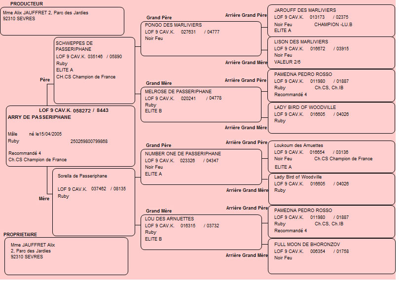 Pedigree de Arry