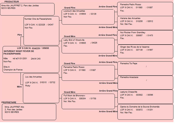 Pedigree de Fever