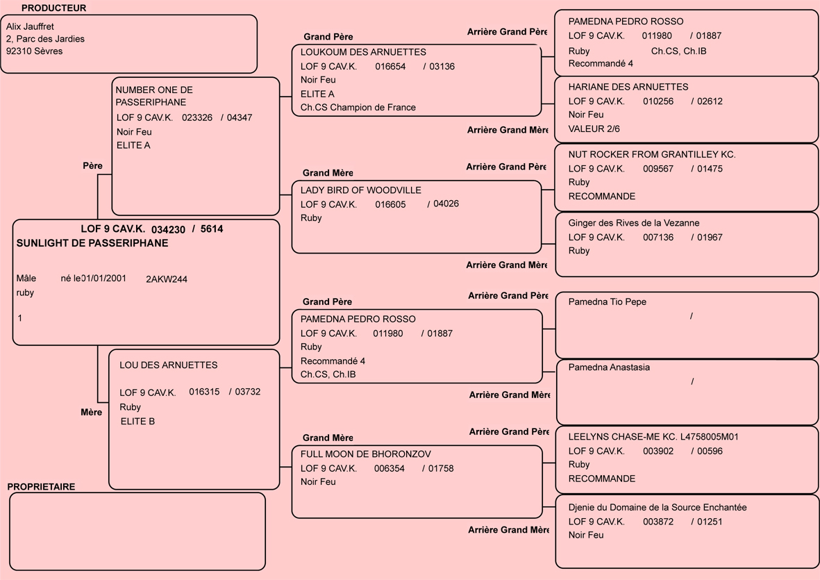 Pedigree de 