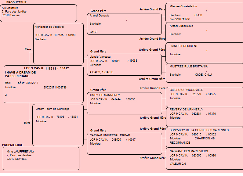 Pedigree de Ben