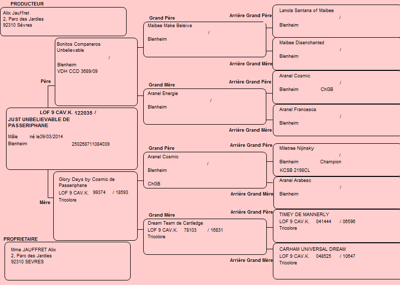 Pedigree de Billy