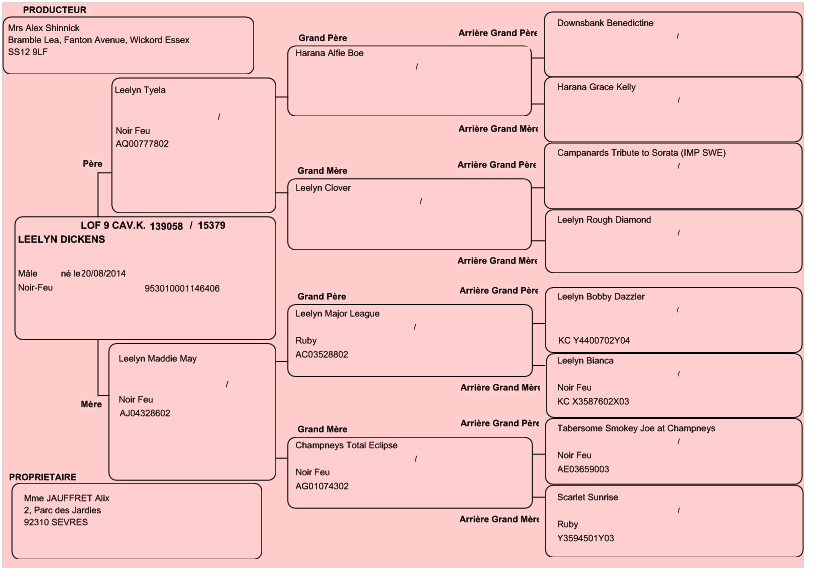 Pedigree de Dickens