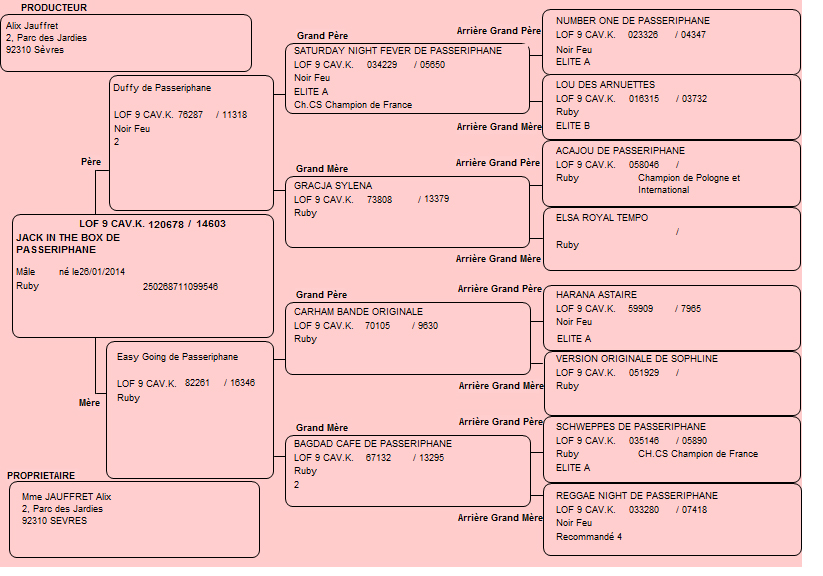 Pedigree de Jack