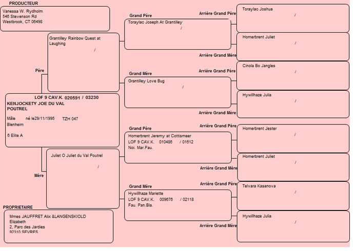 Pedigree de Joe