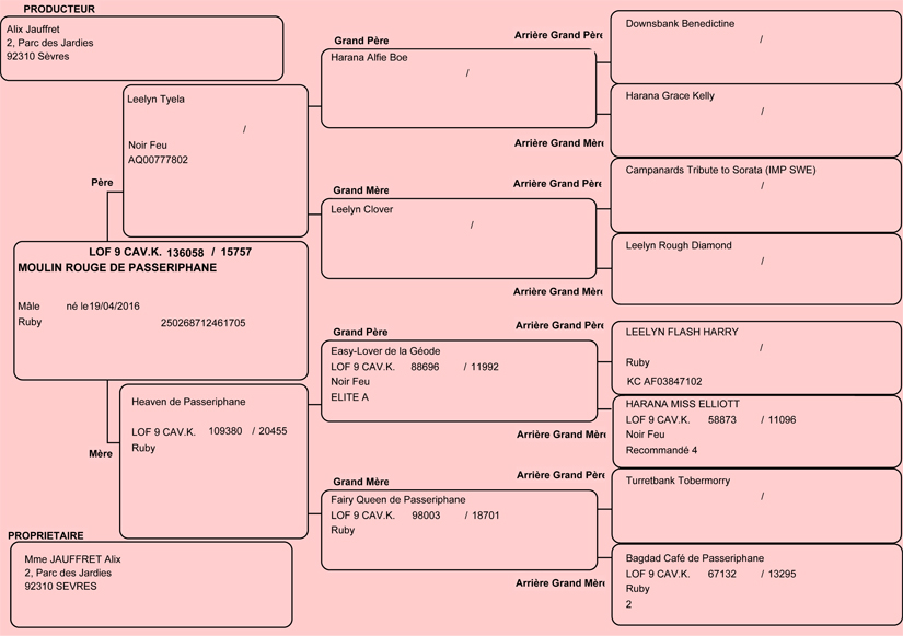 Pedigree de Moulin Rouge