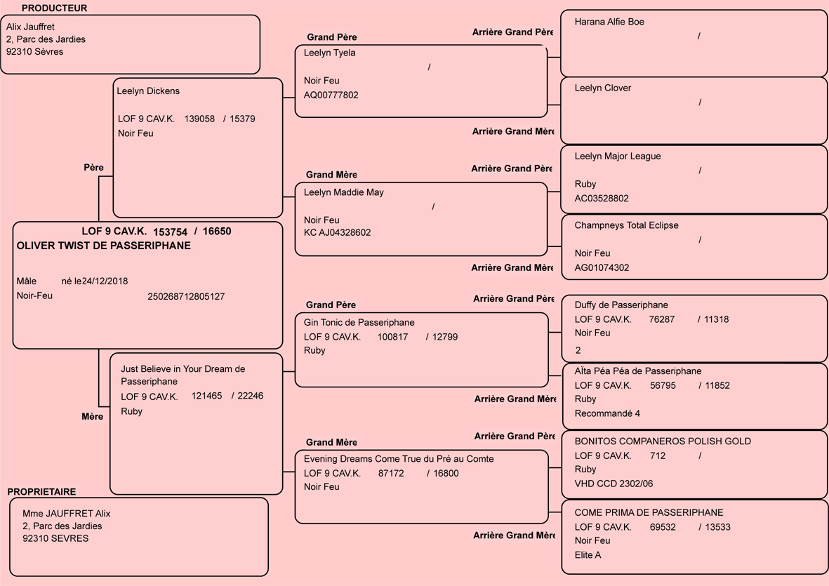 Pedigree de Oliver