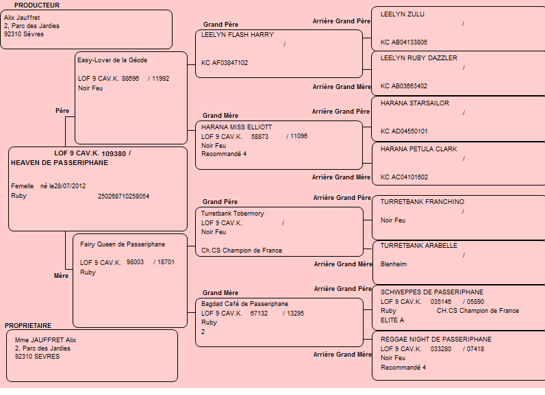 Pedigree de Heaven