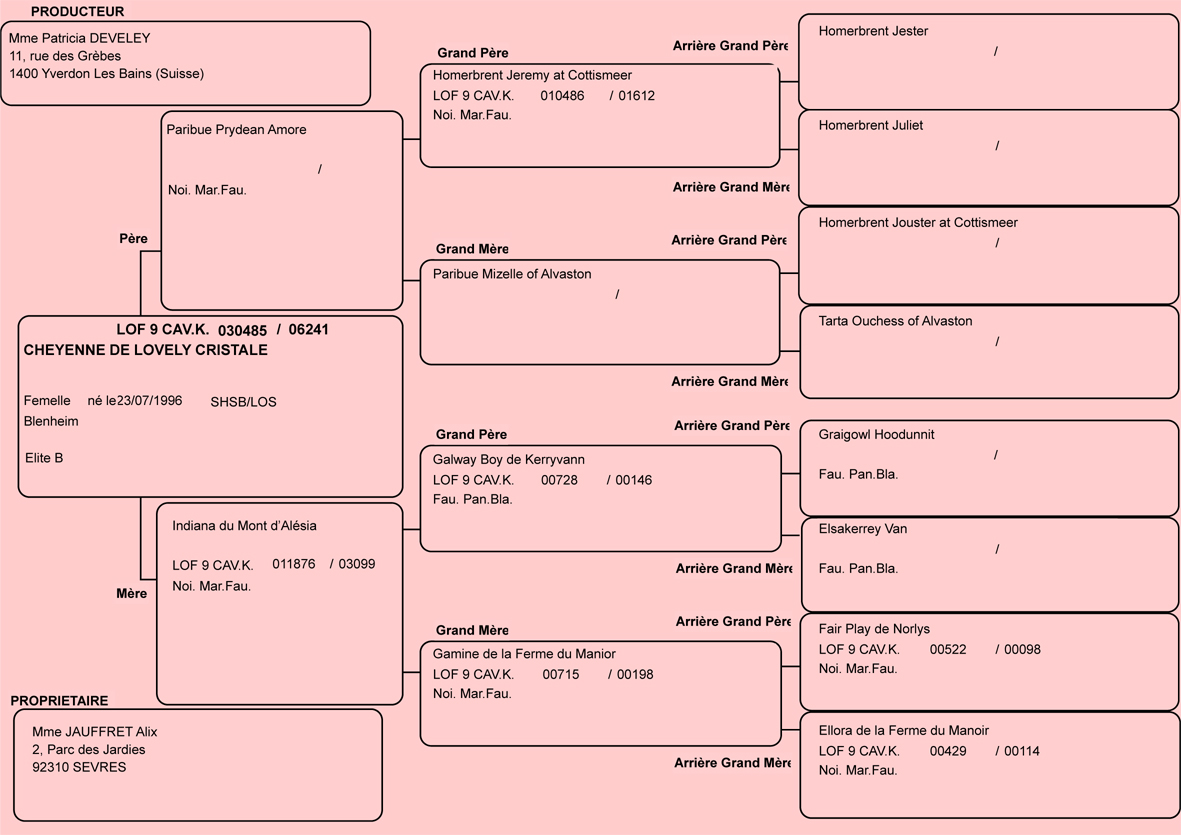 Pedigree de Cheyenne