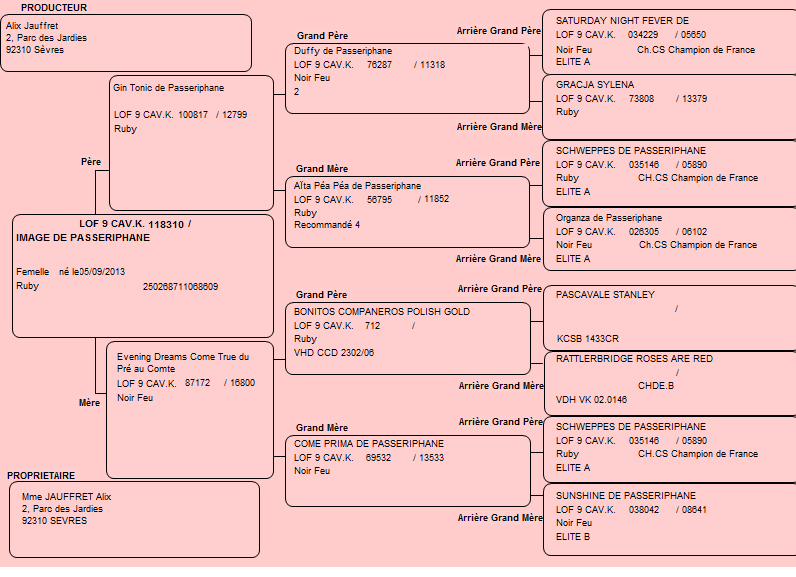 Pedigree de Image