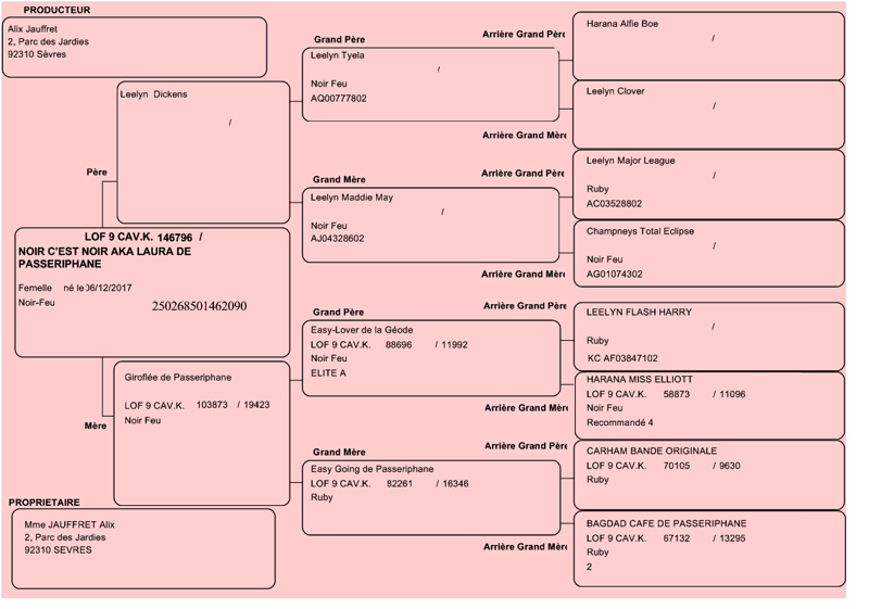 Pedigree de Laura