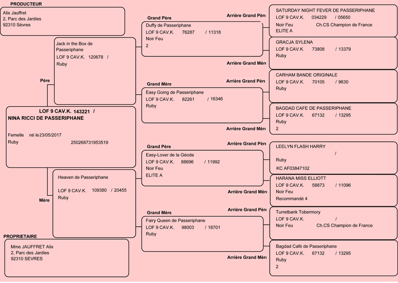 Pedigree de Nina