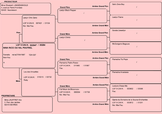 Pedigree de 