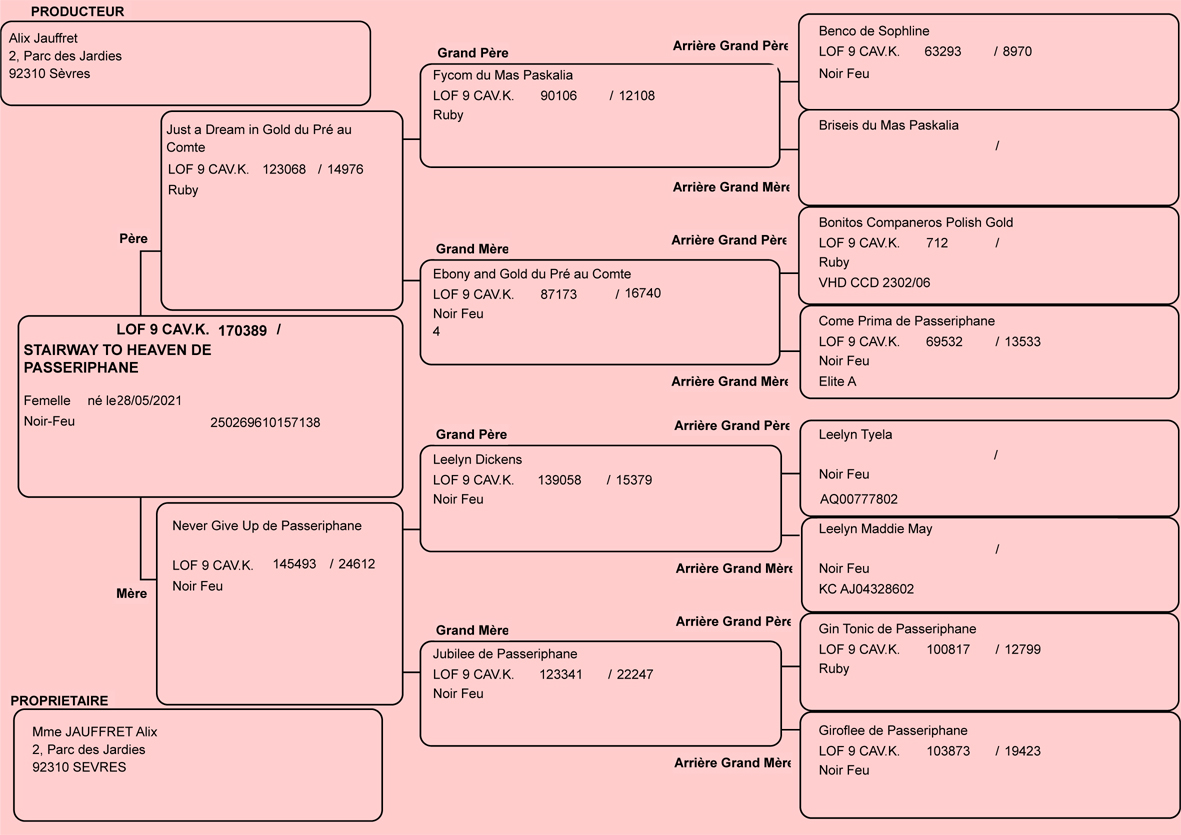 Pedigree de Olympe