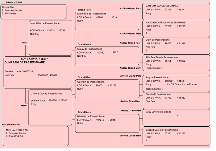 Pedigree de Oumarani