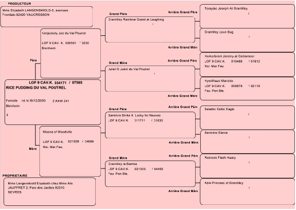 Pedigree de Pudding