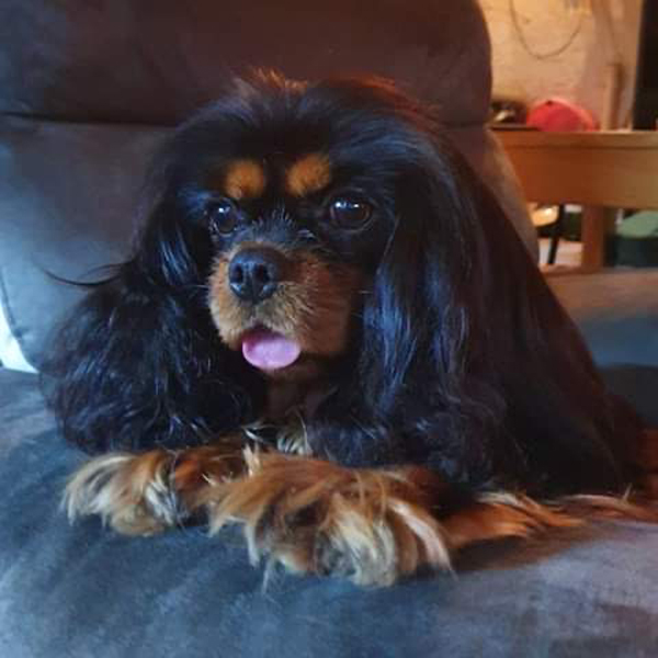 Image de Lily